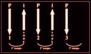 Batida de Sertanejo - Guarânia