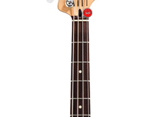 As notas no braço do contrabaixo - Guia do iniciante - aula 3