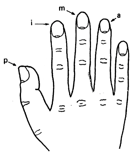 Apostila de contrabaixo- aula 1