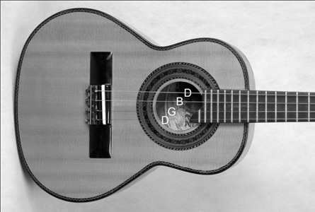 string cavaquinho