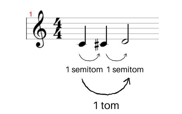 Desvendando a Formação da Escala Maior
